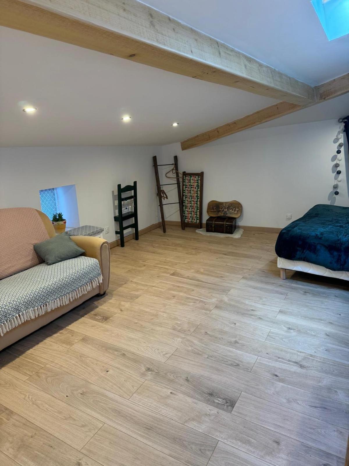Villa Le Pat' Toit A La Traboule Aurec-Sur-Loire Esterno foto
